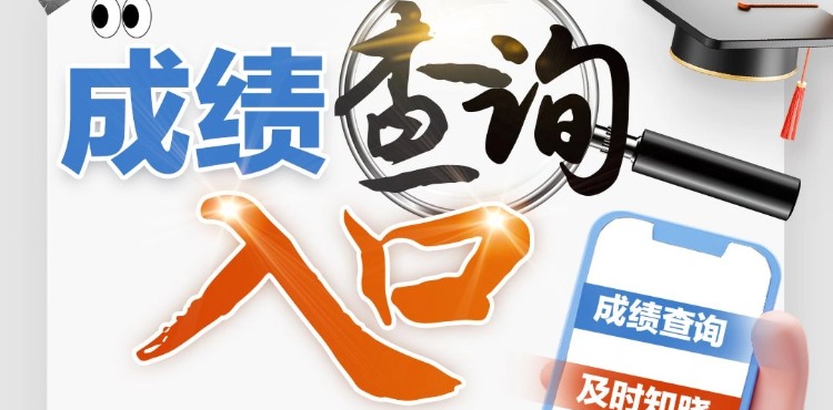 2025四川事业单位/教师/医疗查成绩